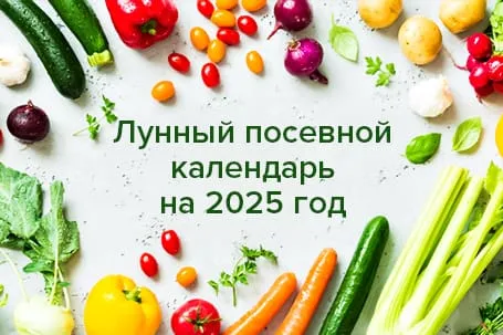 Лунный календарь для вашего сада: советы по весенним работам Лунный календарь для вашего сада: советы по весенним работам