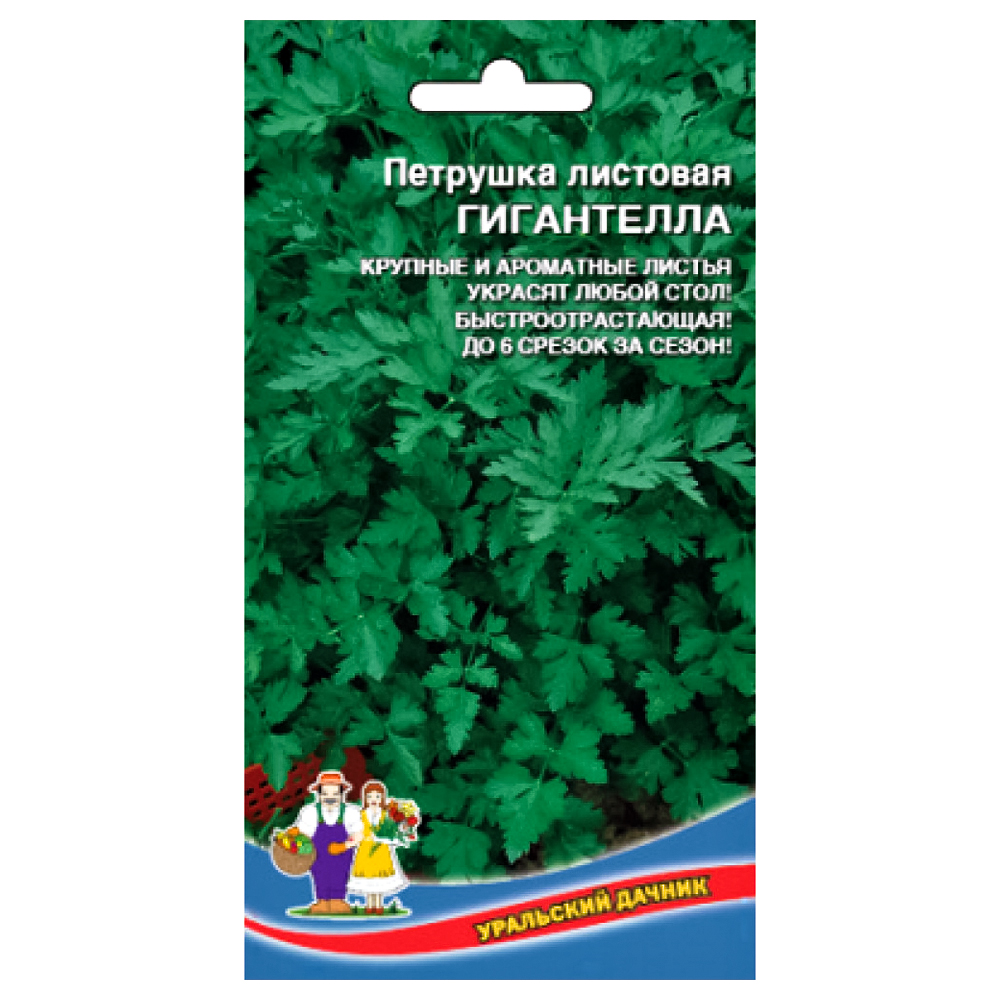 Петрушка листовая Гигантелла Уральский дачник