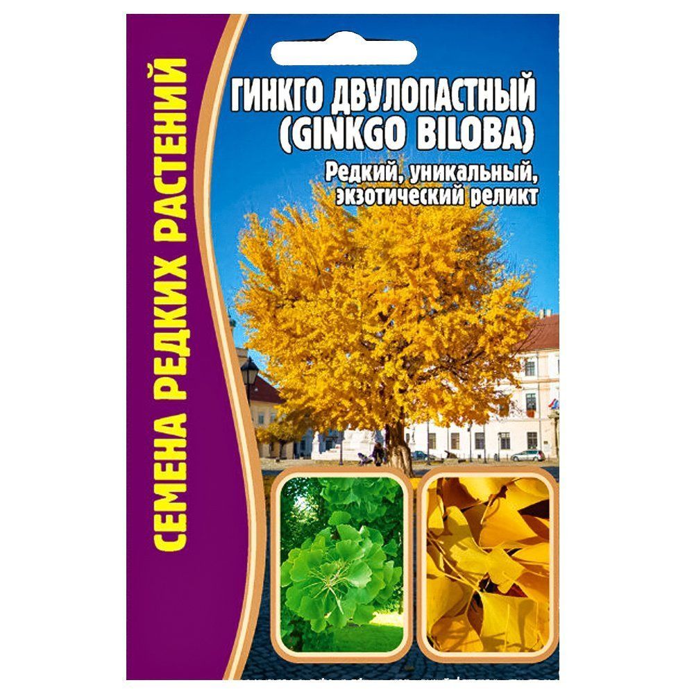

Гинкго двулопастный Редкие семена