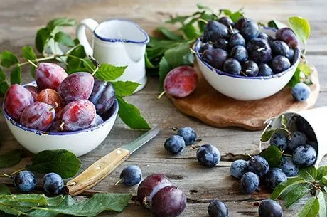 Лучшая сливянка: наливка из слив в домашних условиях