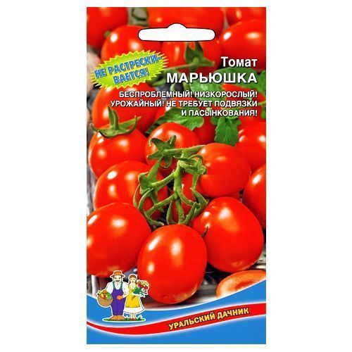

Томат Марьюшка Уральский дачник