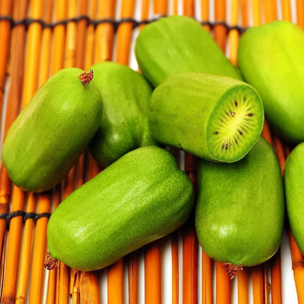 АктинидияаргутаморозостойкаяЧелябинская