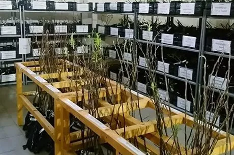 Как работает Гарденмарт и почему нам доверяют