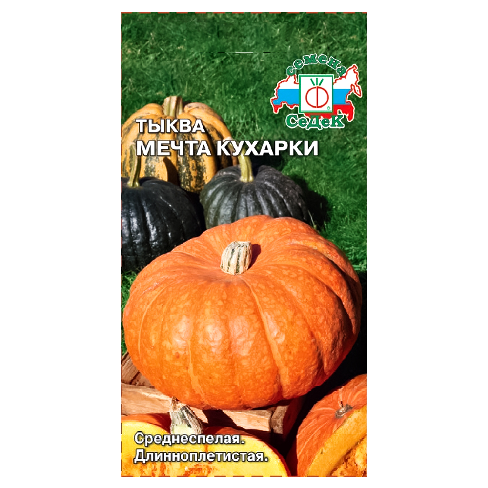 

Тыква Мечта кухарки Седек