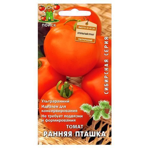 

Томат Ранняя пташка Поиск