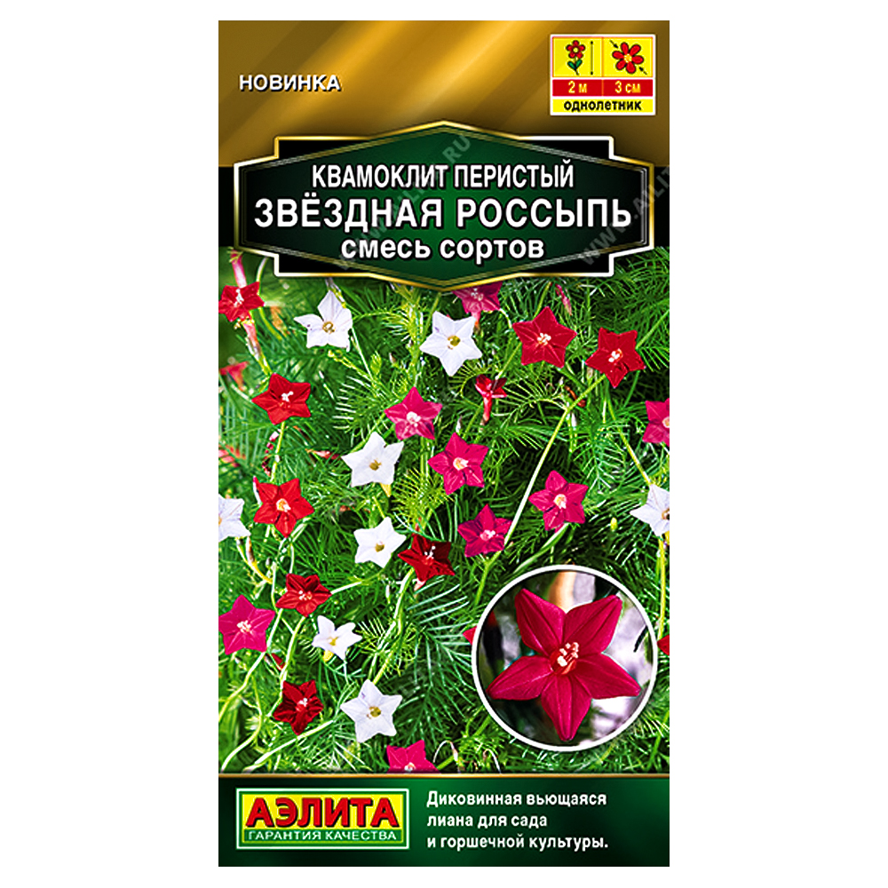 

Квамоклит перистый Звездная россыпь, смесь сортов Аэлита