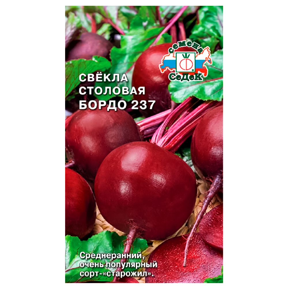Свекла Бордо 237 Седек