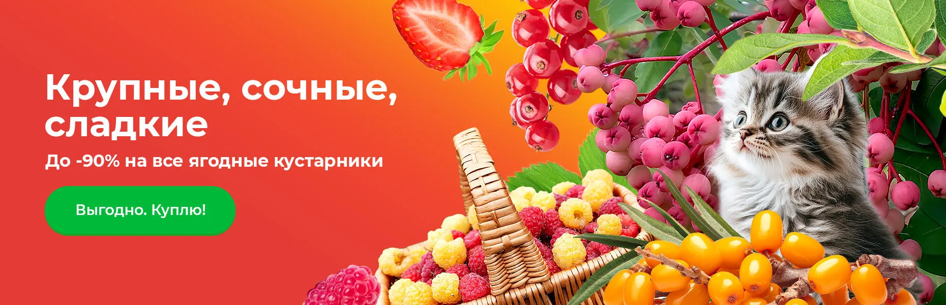 Крупные, сочные, сладкие До -90% на все ягодные кустарники