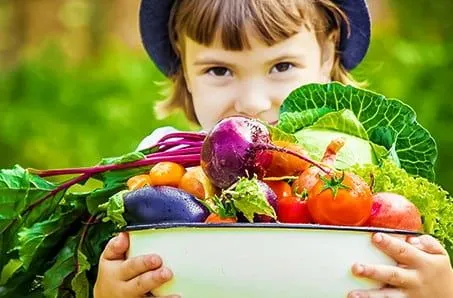 Разрушители мифов: какие утверждения про огород неверны