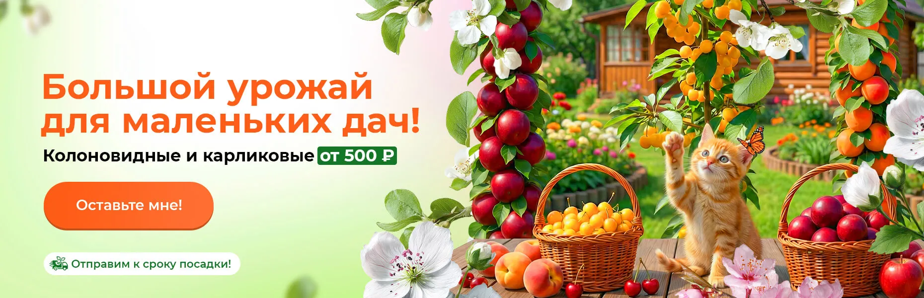 Большой урожай для маленьких дач! Колоновидные и карликовые от 500 ₽. Отправим к сроку посадки!