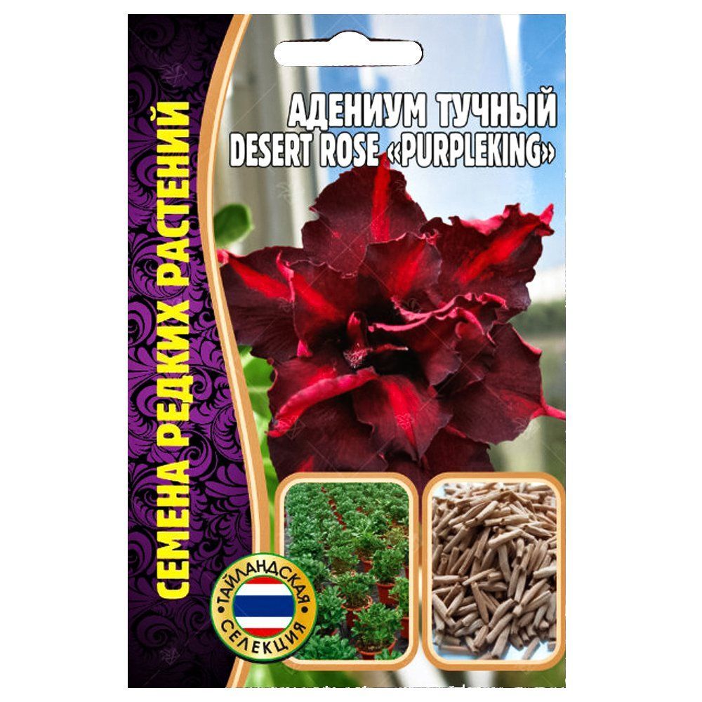 

Адениум Desert Rose Purple King Редкие семена