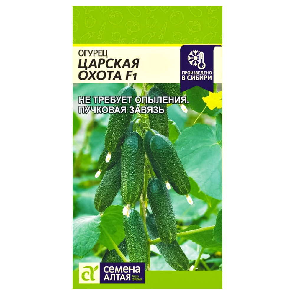 

Огурец Царская охота F1 Семена Алтая