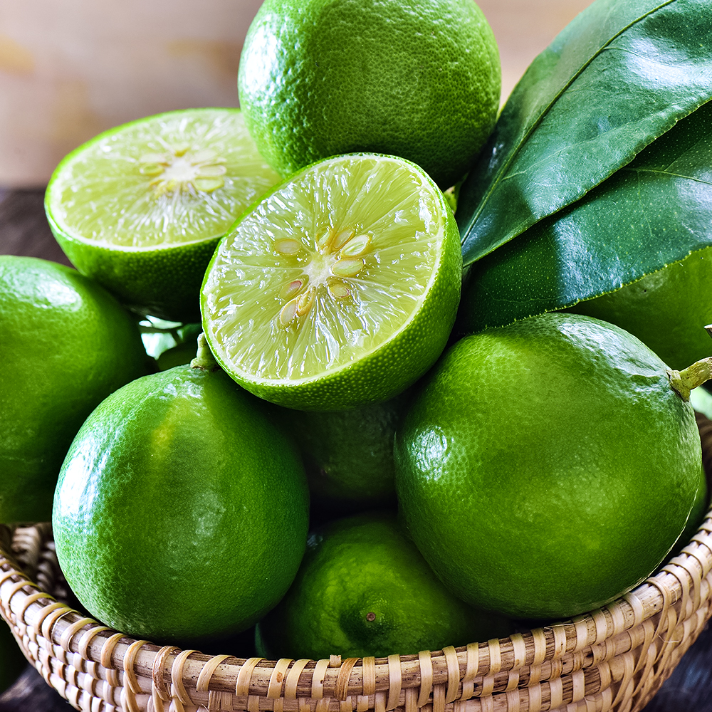 Лайм комнатный неприхотливый Мексиканский