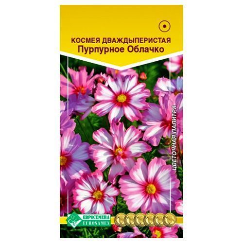 

Космея Пурпурное облачко Евросемена