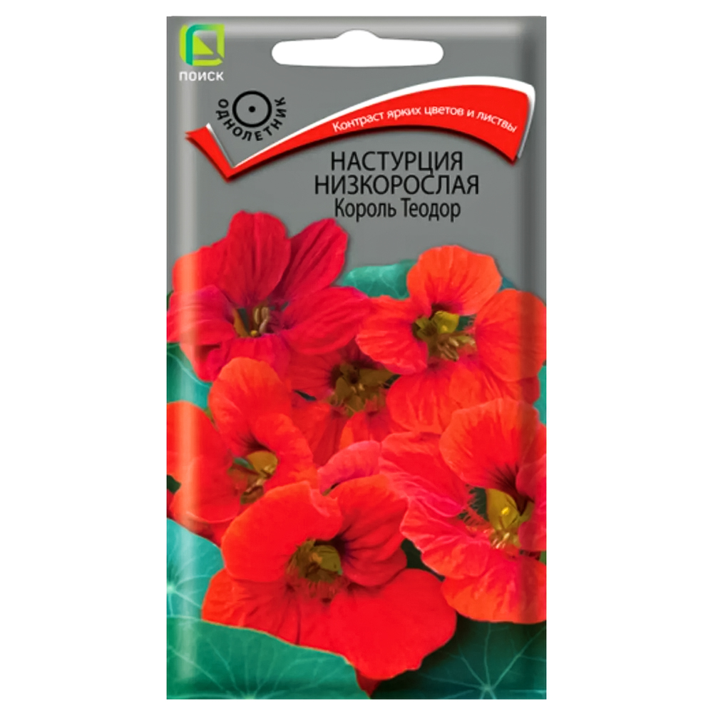 Настурция низкорослая Король Теодор Поиск