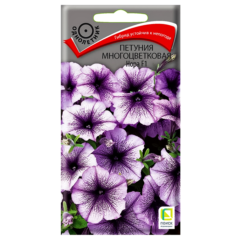 Петуния многоцветковая Нора F1 Поиск