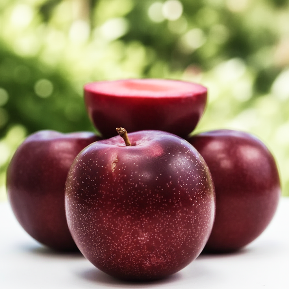 Плумкот (гибрид сливы и абрикоса) Априсали