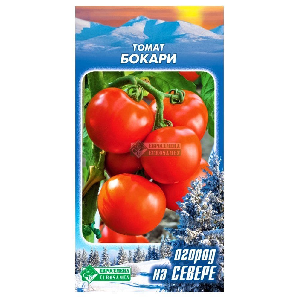 

Томат Бокари Евросемена