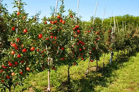 Почему мы уверены в нашем качестве? Или бойцы невидимого фронта