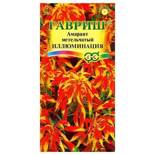 

Амарант Иллюминация Гавриш