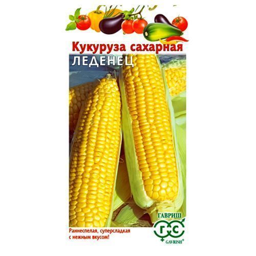 

Кукуруза Леденец F1 Гавриш