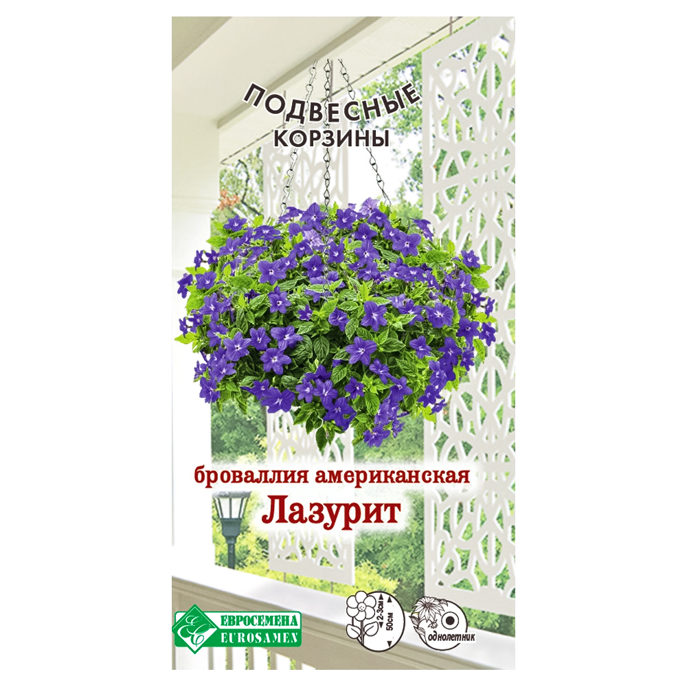 

Броваллия американская Лазурит Евросемена
