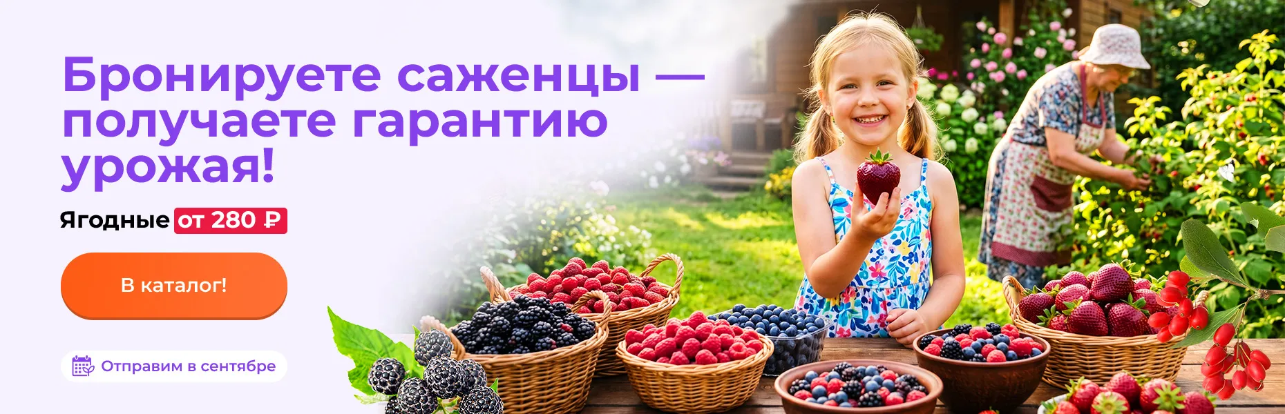 Бронируете саженцы — получаете гарантию урожая! Ягодные от 280 рублей. Отправим в сентябре
