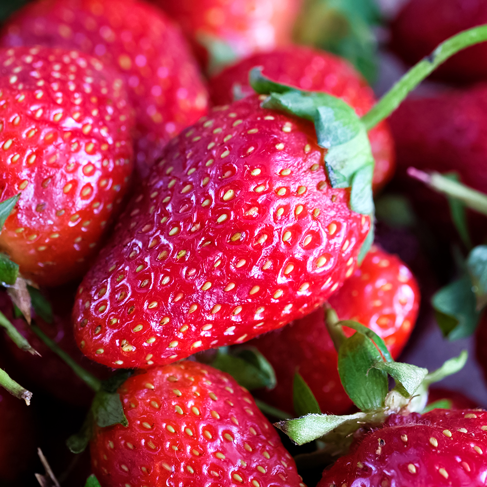 Земляника крупноплодная с ароматом малины Элоди, 5 саж.