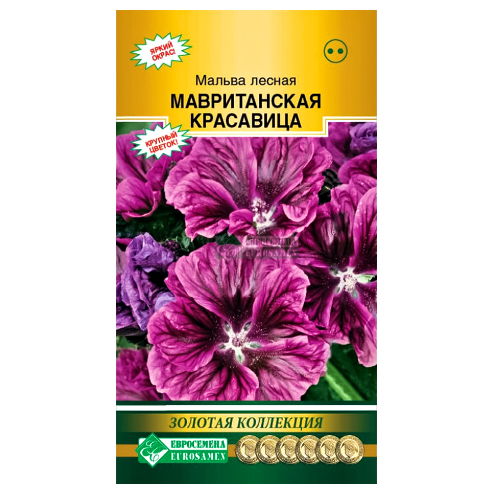 Мальва (шток-роза) Мавританская красавица Евросемена