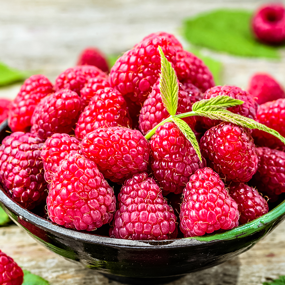 

Малина штамбовая ремонтантная Сказочный конь