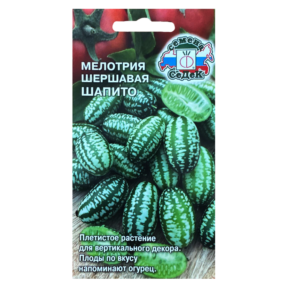  Мелотрия Шапито Седек