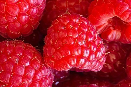 Уход за малиной после сбора урожая