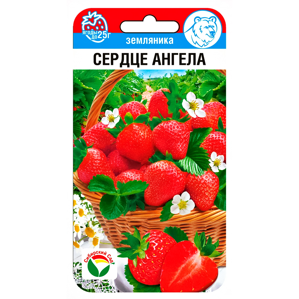 

Земляника крупноплодная Сердце ангела Сибирский сад