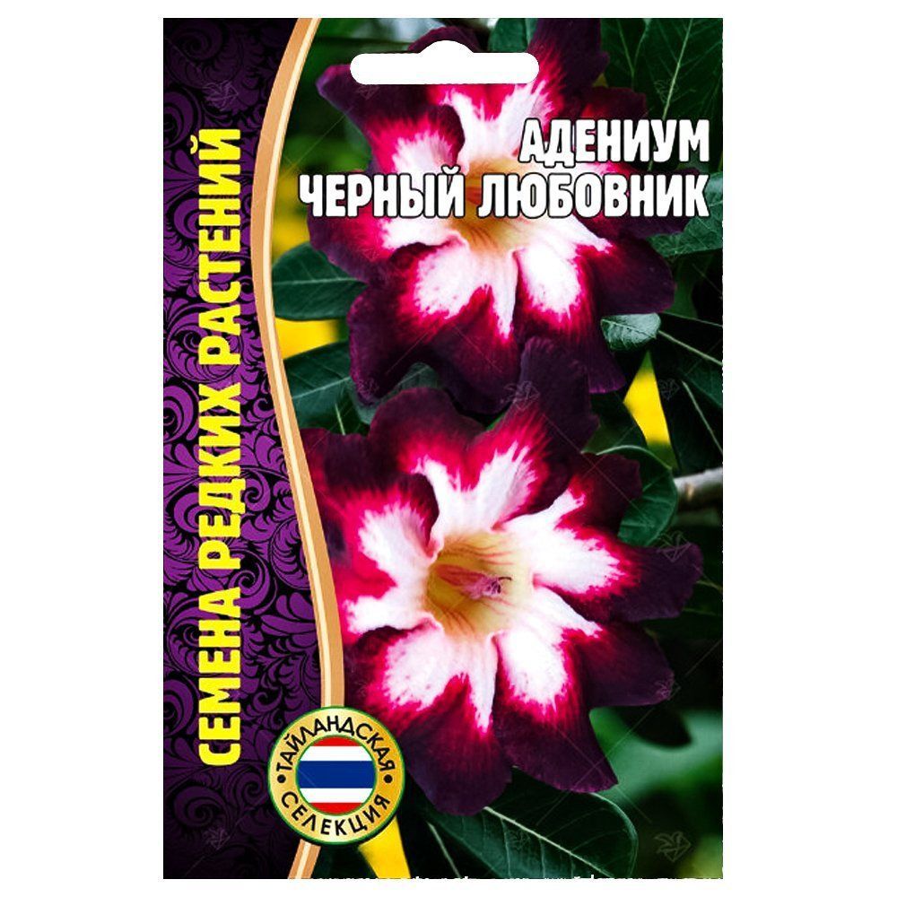 

Адениум Черный любовник Редкие семена