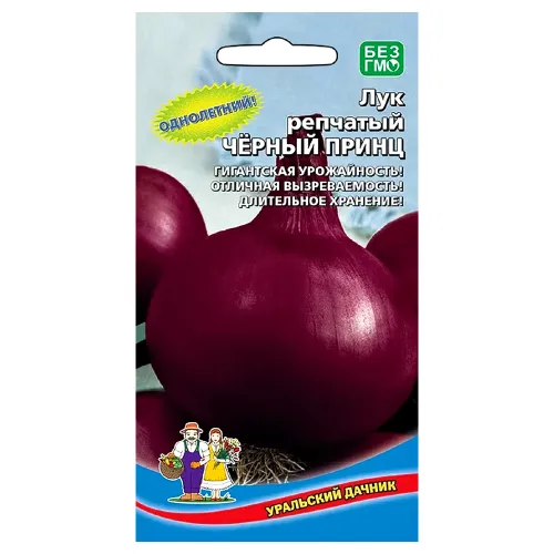 Лук репчатый Черный принц Уральский дачник