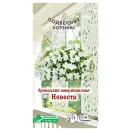 Броваллия американская Невеста Евросемена № 1