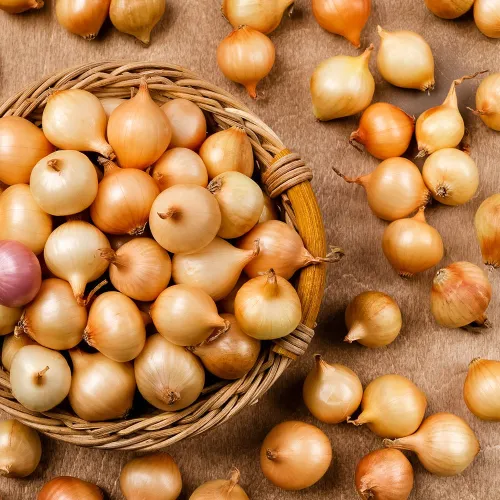 Лук-севок Стурон