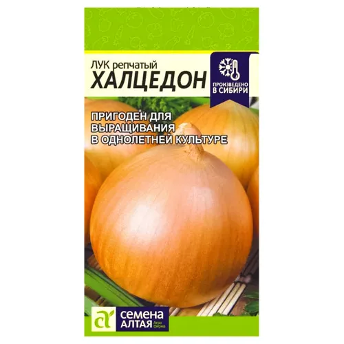 Лук репчатый Халцедон Семена Алтая