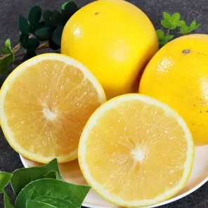 Грейпфрут комнатный без косточек Марш