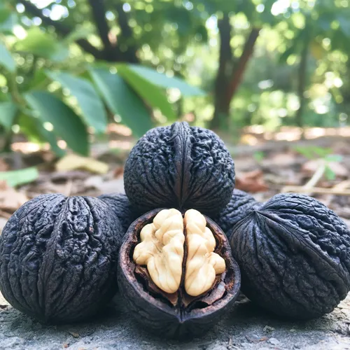 Орех черный Эмма К
