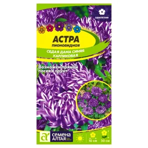 Астра пионовидная карликовая Седая дама синяя Семена Алтая