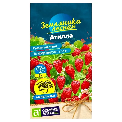 Земляника ремонтантная Атилла Семена Алтая