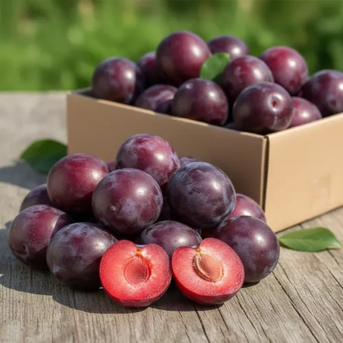 Черрикос (гибрид алычи и абрикоса черного)