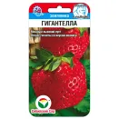 Земляника крупноплодная Гигантелла, семена Сибирский сад № 1