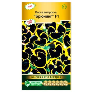 Виола Виттрока Брюнинг Евросемена