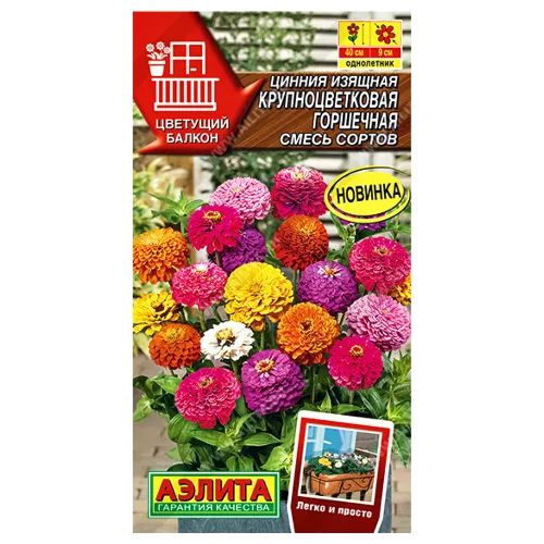 Цинния Крупноцветковая горшечная, смесь окрасок Аэлита