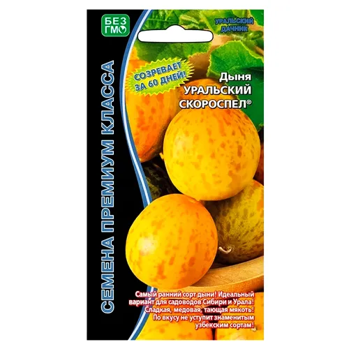 Дыня Уральский скороспел Уральский дачник