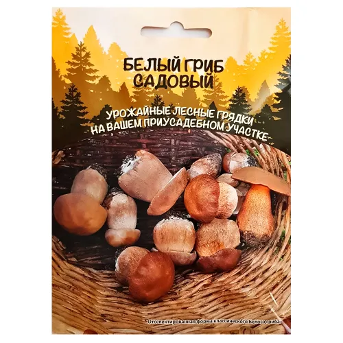 Белый гриб садовый Уральский дачник