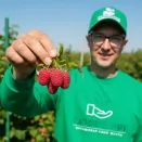 Малина крупноплодная Гусарская доблесть № 2