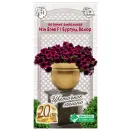 Петуния ампельная Изи Вэйв Бургунд велюр F1 Евросемена № 1